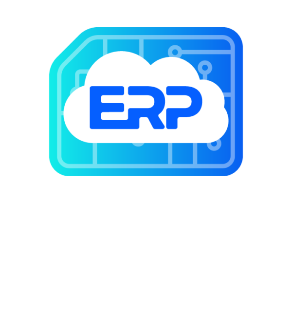 E Commerce ERP